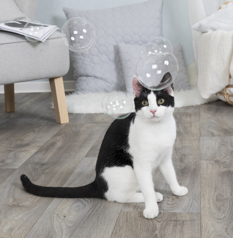 Såpbubblor för katt med kattmynta
